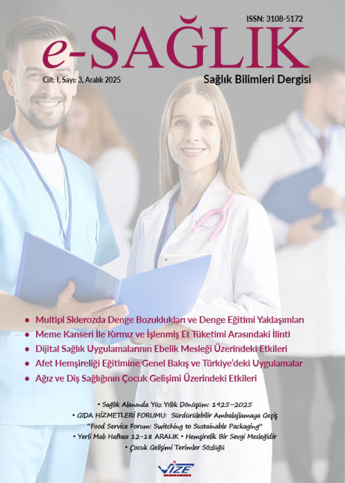 e-SAĞLIK Sağlık Bilimleri Dergisi 03